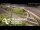 Webcam in Auckland, 4.8 km
