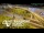 Webcam in Auckland, 2.1 mi away