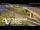 Webcam in Auckland, 4.7 km entfernt