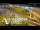 Webcam in Auckland, 2.1 mi away