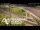Webcam in Auckland, 1.9 km entfernt