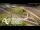 Webcam in Auckland, 1.6 km entfernt