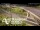 Webcam in Auckland, 2.1 mi away