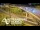 Webcam in Auckland, 2.1 mi away