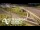 Webcam in Auckland, 1.6 km entfernt
