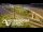 Webcam in Auckland, 2.1 mi away