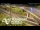 Webcam in Auckland, 2.1 mi away