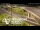 Webcam in Auckland, 4.8 km