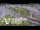 Webcam in Auckland, 4.8 km entfernt