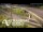 Webcam in Auckland, 2.1 mi away