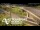 Webcam in Auckland, 2.1 mi away