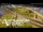 Webcam in Auckland, 1.6 km entfernt