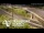 Webcam in Auckland, 2.1 mi away