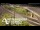 Webcam in Auckland, 2.1 mi away