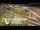 Webcam in Auckland, 1.6 km entfernt