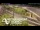 Webcam in Auckland, 2.1 mi away