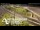 Webcam in Auckland, 2.1 mi away