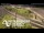 Webcam in Auckland, 2.1 mi away