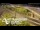 Webcam in Auckland, 2.1 mi away