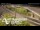 Webcam in Auckland, 4.8 km