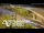 Webcam in Auckland, 1.6 km entfernt