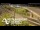 Webcam in Auckland, 5.3 km