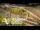 Webcam in Auckland, 2.1 mi away