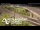 Webcam in Auckland, 2.1 mi away
