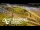Webcam in Auckland, 5.4 mi away