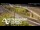 Webcam in Auckland, 2.1 mi away