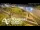 Webcam in Auckland, 2.1 mi away