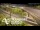 Webcam in Auckland, 2.1 mi away