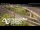 Webcam in Auckland, 2.1 mi away