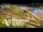 Webcam in Auckland, 2.1 mi away