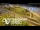 Webcam in Auckland, 0.6 mi away