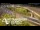 Webcam in Auckland, 2.1 mi away
