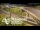 Webcam in Auckland, 2.1 mi away
