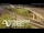 Webcam in Auckland, 3.5 mi away