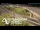 Webcam in Auckland, 2.1 mi away