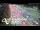 Webcam in Greenlane, 15 km entfernt
