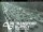 Webcam in Greenlane, 5 km entfernt