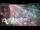 Webcam in Greenlane, 26.3 km entfernt