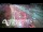 Webcam in Greenlane, 26.3 km entfernt