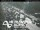 Webcam in Greenlane, 17.7 km