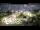 Webcam in Penrose, 16 km