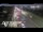 Webcam in Westfield, 17.2 km entfernt