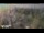 Webcam in Westfield, 5.8 km