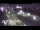 Webcam in Manukau City, 4.4 mi away