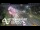 Webcam in Takanini, 311.7 km