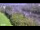 Webcam in Arch Hill, 2.4 mi away